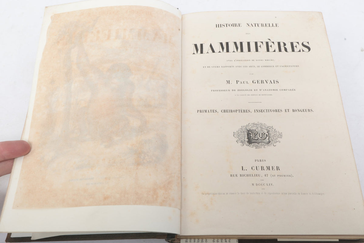 Paul Gervais — Histoire Naturelle des Mammifères — First Part, Paris, 1854 — photographed detail
