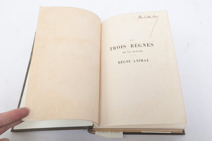 Paul Gervais — Histoire Naturelle des Mammifères — First Part, Paris, 1854 — photographed detail