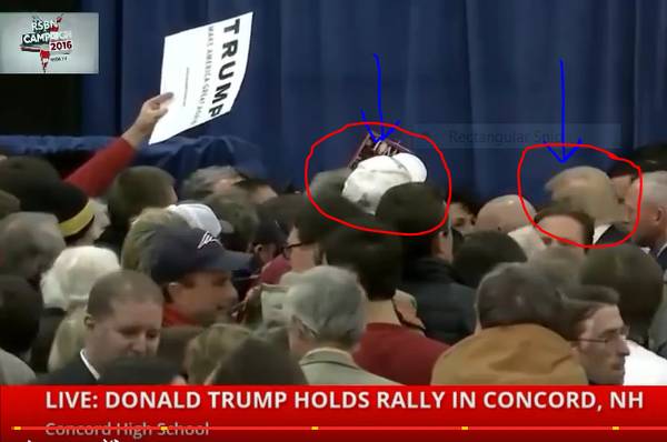 Tom Brady & Donald Trump Dual-Signed Super Bowl XLIX Hat — TRISTAR COA