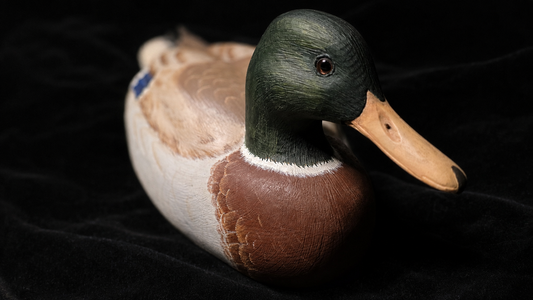Val Waugh Hand Carved Mallard Drake Duck Decoy Glass Eyes