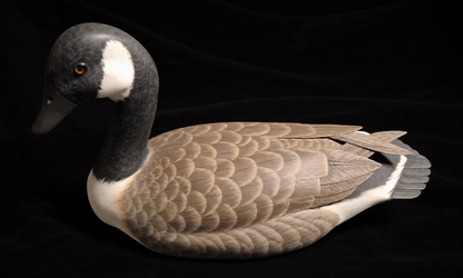 Canada Goose Decoy - Tom Ferguson for Ken Harris Decoys, Woodville, New York