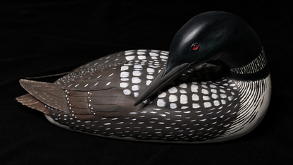 Val Waugh Signed Hand-Carved & Painted Loon Decoy 15.5