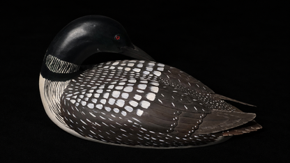 Val Waugh Signed Hand-Carved & Painted Loon Decoy 15.5