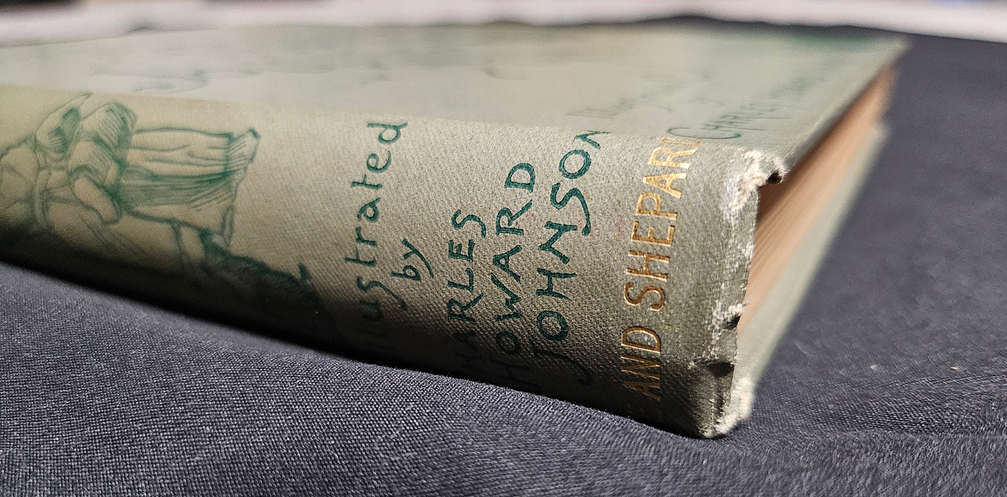 1893 1st Edition Baron Trump’s Marvellous Underground Journey — Ingersoll Lockwood — Rare Original Cloth Binding