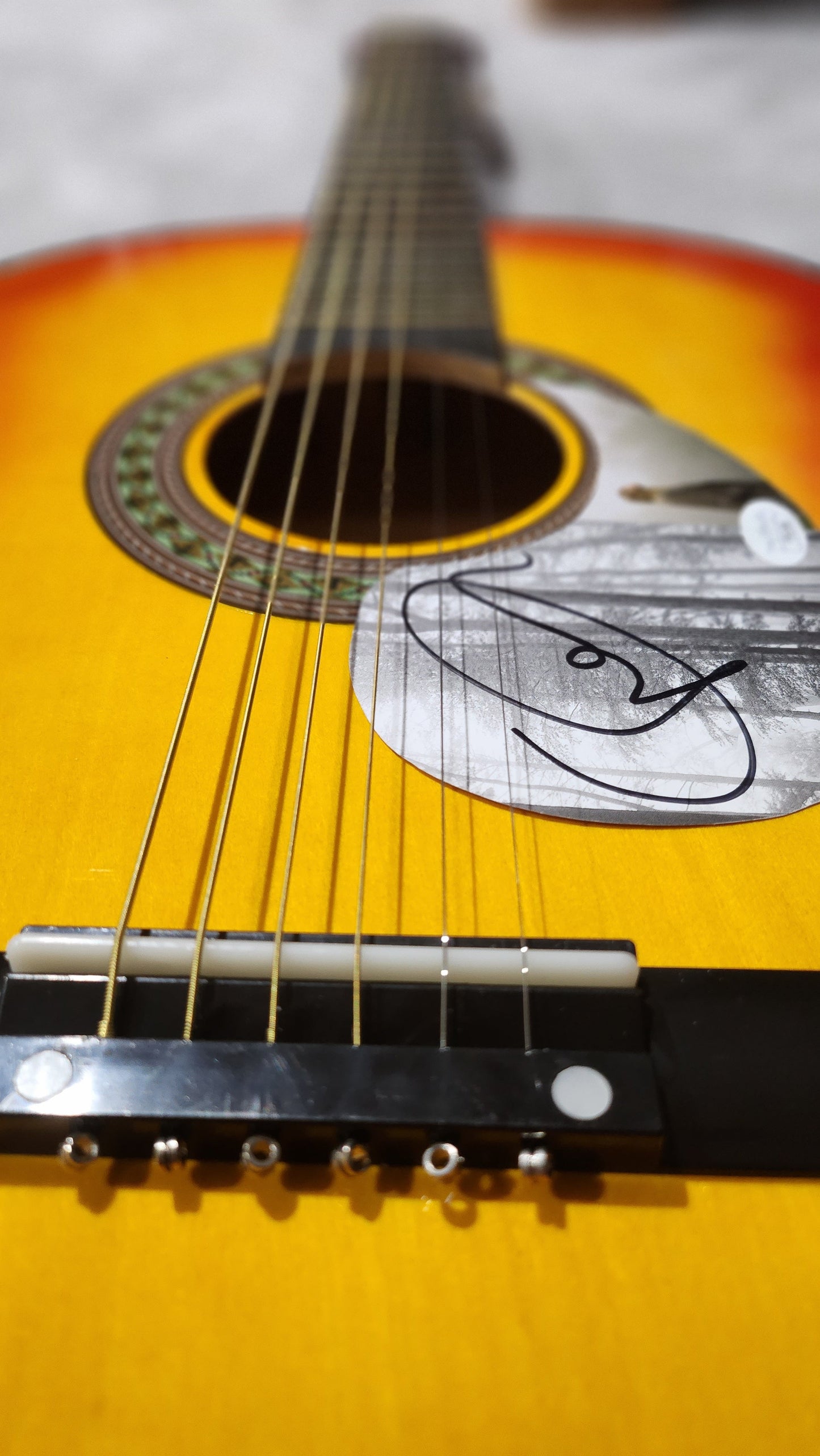 Taylor Swift Autographed Acoustic Guitar | Bollëku